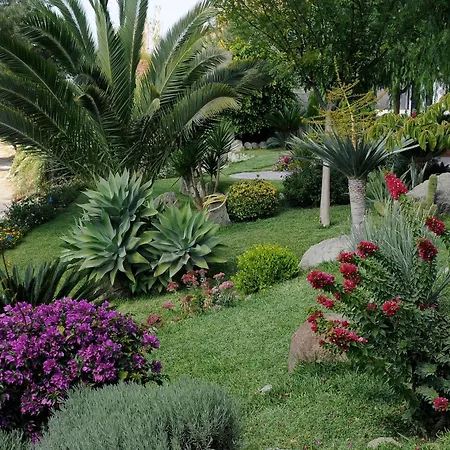 Casa Ischitana Forio di Ischia